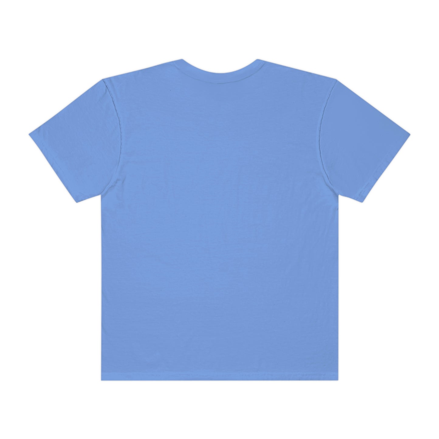 Comfort Color Its Doctor Actually T-Shirt, Doctor Gift