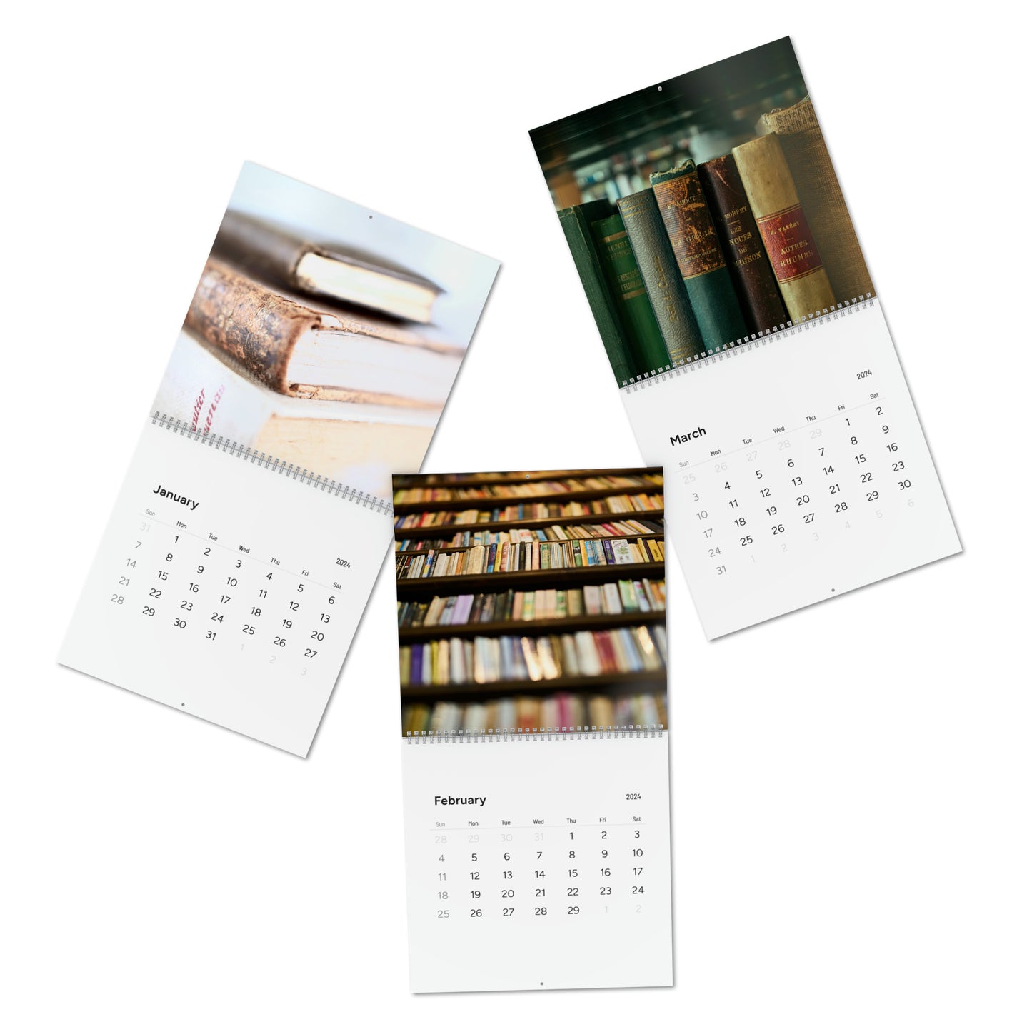 Vintage Library 2024 Calendar Photography Collection, Standard Wall Calendar (2024)