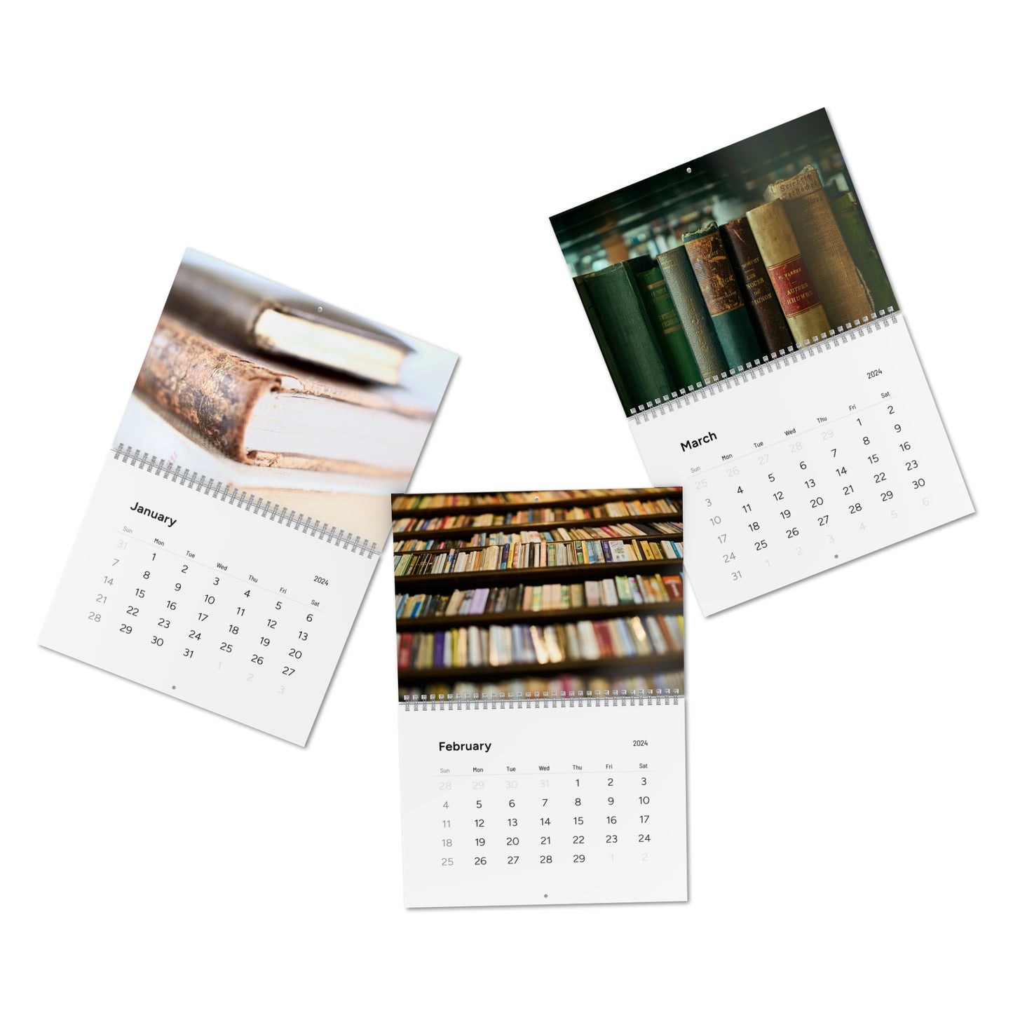 Vintage Library 2024 Calendar Photography Collection, Standard Wall Calendar (2024)