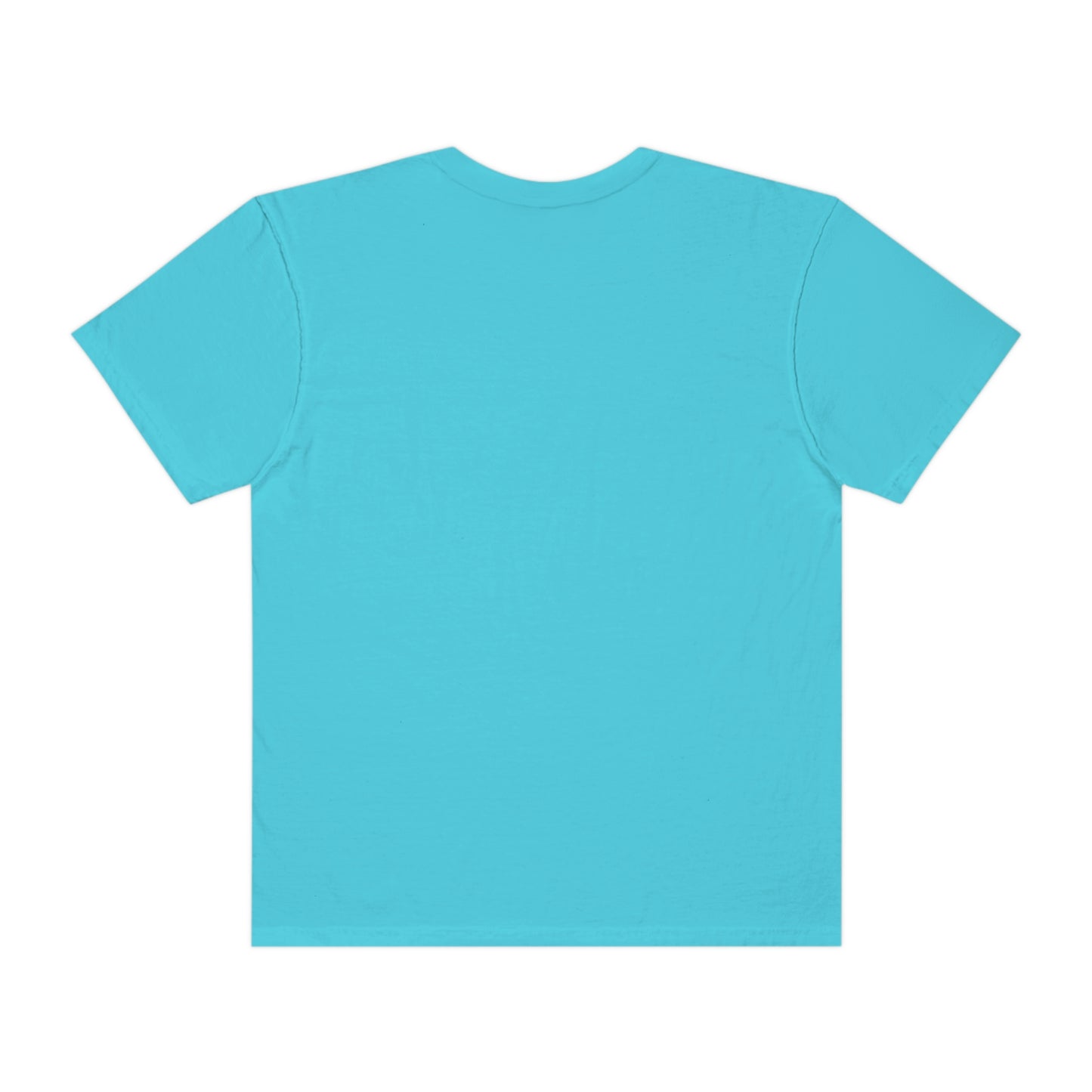 Comfort Color Its Doctor Actually T-Shirt, Doctor Gift